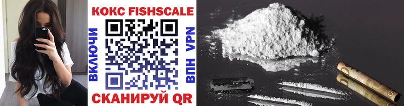 Кокаин Fish Scale  Купить закладки  Гаджиево 