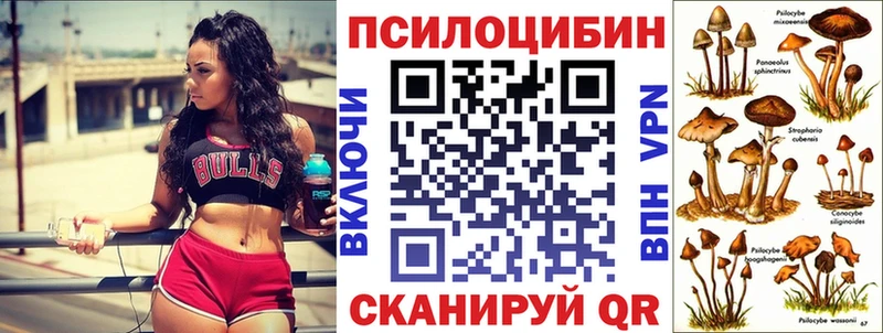 Галлюциногенные грибы Psilocybe  Купить  Гаджиево 